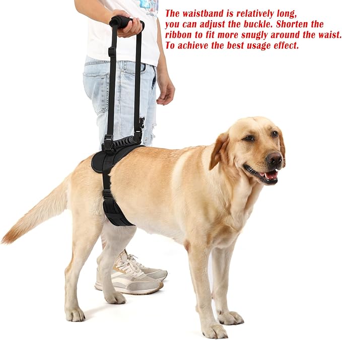 NOYAL Dog Lift Harness for Senior & Injured Pets – Full-Body Support Sling with Breathable Mesh, Front/Rear Leg Assist for Arthritis, Hip Dysplasia & Post-Surgery Recovery (Medium-Large Breeds)