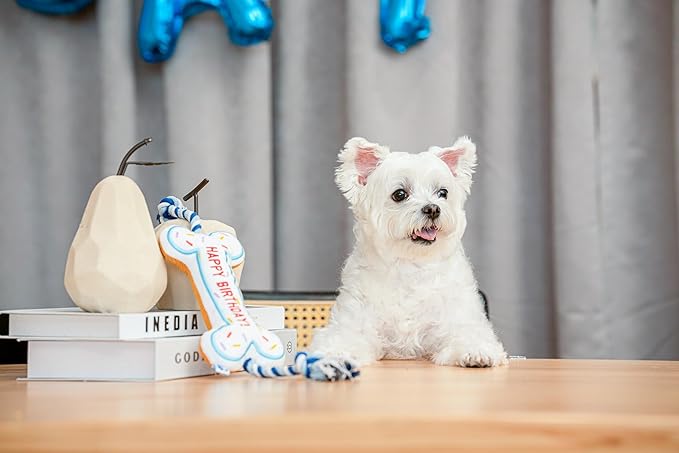 Birthday Bone Interactive Dog Toy - Interactive Tug Rope Pet Toy - Cute Unique Design Party Birthday Gift - Small Medium Puppy - Durable Chew Resistant Plush Toy with Squeaker for Teething (White)