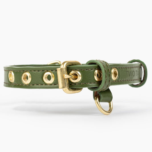 Two Tails Pet Company Cactus Vegan Leather Dog Collar, Adjustable Pet Collar with Gold Hardware and D Rings for Leash and ID Tag for Dogs and Puppies, Easy to Clean & Eco Friendly, Green, Size Small
