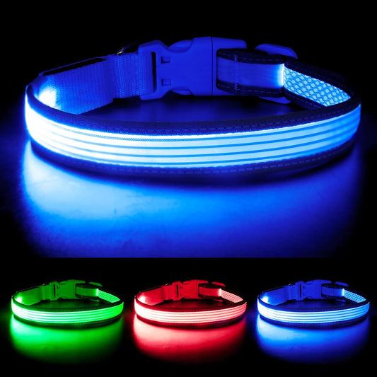 YFbrite Full Adjustbale LED Dog Collar, Full Illuminated Light up Dog Collars, Reflective Dog Collar Light Glowing in The Dark for All Dogs Safety (Medium, Blue-2)