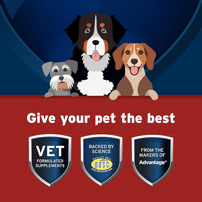 Bundle of Seresto Large Dog Collar for Dogs Over 18 lbs. + Pet Protect Hip & Joint Supplement for Dogs 60 Chews