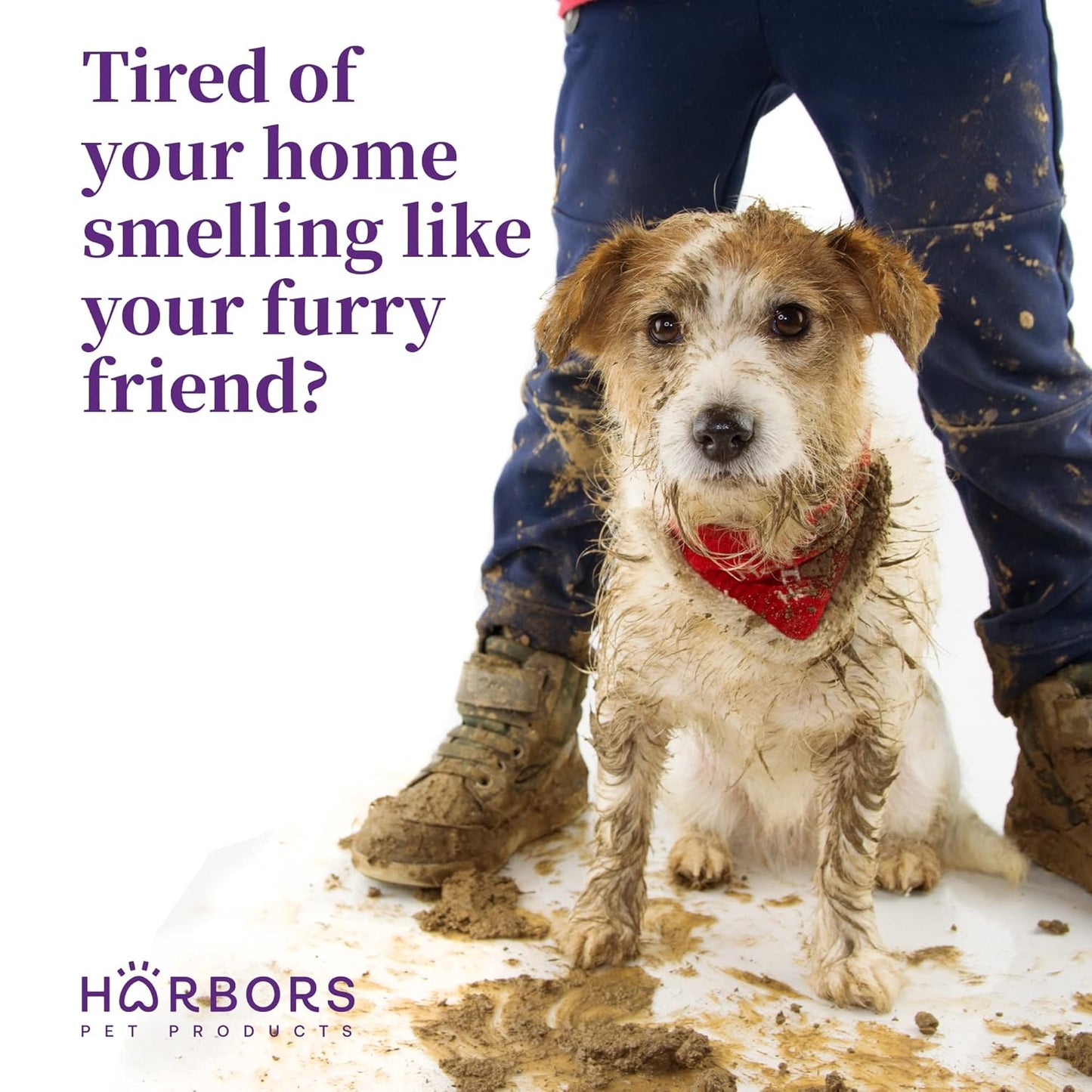 Harbor's Pet Cologne (Lavender)