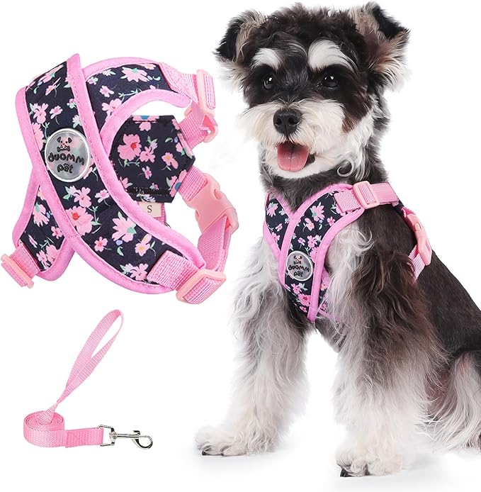 Patas Lague Dog Harness with Leash Set Adjustable Soft Padded Step-in Dog Vest No Choke No Pull Reflective for Medium Pets with Poop Bags and Dispenser, Solid and No-chew, Floral Pink L