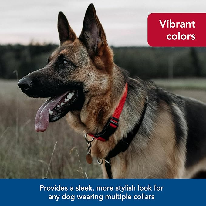 Coastal Pet SecureAway Collar Protector for Flea Collars - Adjustable pet Accessory - Protective Flea Collar for Dogs & Puppy - Multi Bones, 5/8" x 8-12"