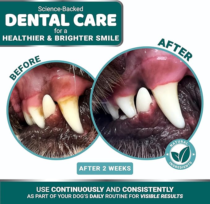 Advanced Dog Dental Powder, Breath Freshener with Multivitamin, Dog Teeth Cleaning, Bad Breath & Tartar and Plaque Off Remover for Dogs Probiotics lab co, Pet Oral Care - Vitamins and Supplements