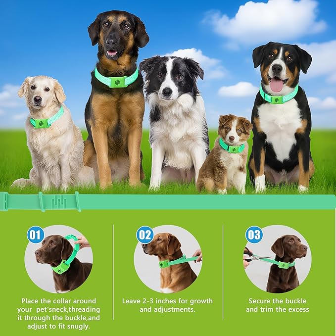 Natural Flea and Tick Collar + Pendant for Dogs – Waterproof, Adjustable Fit, 8+ Months Protection, 3 Refills Included