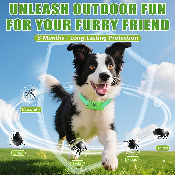 Natural Flea and Tick Collar + Pendant for Dogs – Waterproof, Adjustable Fit, 8+ Months Protection, 3 Refills Included