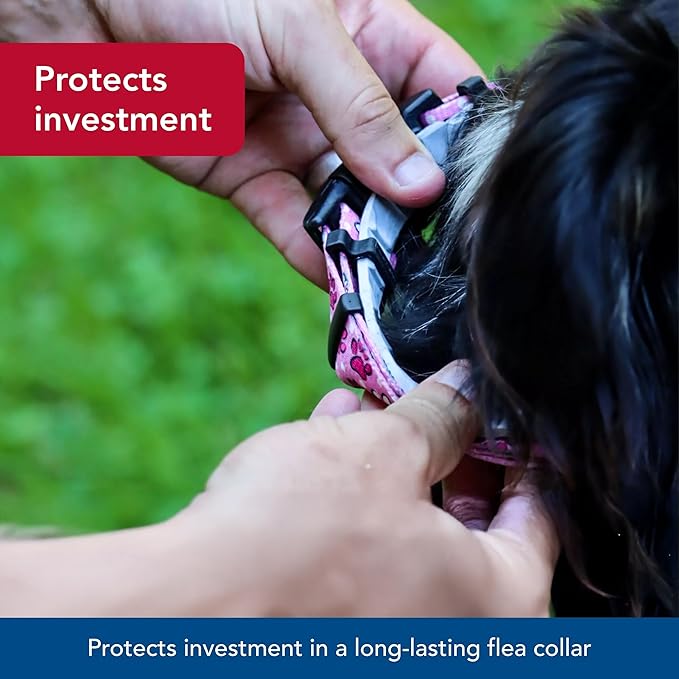 Coastal Pet SecureAway Collar Protector for Flea Collars - Adjustable pet Accessory - Protective Flea Collar for Dogs & Puppy - Red, 1" x 18-26"