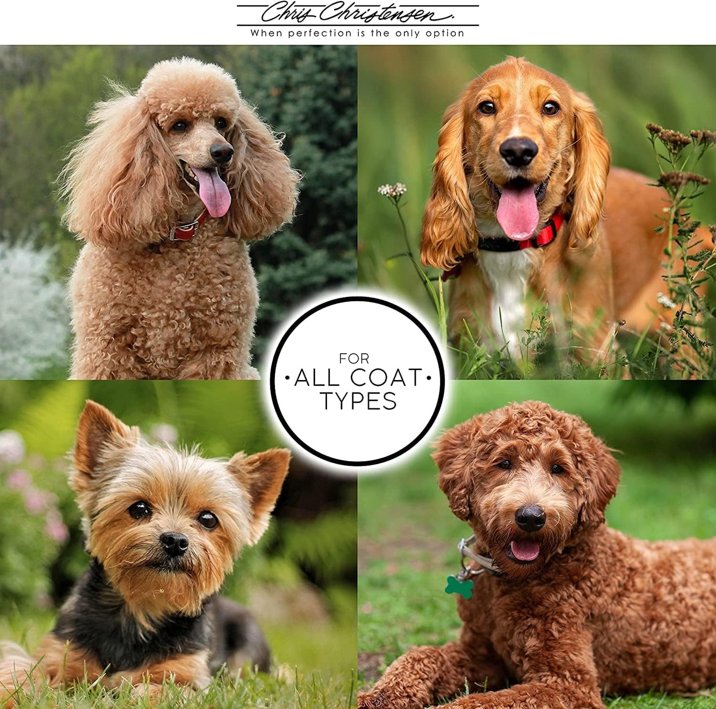 Chris Christensen King Arthur's Knight Out Grooming Pet Cologne, Groom Like a Professional, Long Lasting, Designer Fragrances, For Dogs and Cats, 16 oz