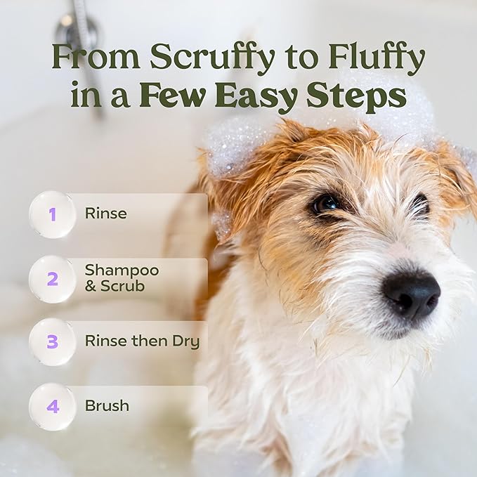 PAWFUME Dog Shedding Shampoo and Conditioner, Royal Lavender, 4-Pack – Nourish & Detangle for Silky Soft Coat – Probiotic, Deep-Cleaning, pH-Balanced – Salon-Quality Shedding Shampoo for Dogs