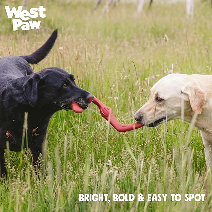 WEST PAW Zogoflex Bumi Dog Tug Toy – S-Shaped, Lightweight Chew Toys for Fetch, Play, Pet Exercise – Tug of War Soft Flinging Squishy Chewy Toy for Dogs – Guaranteed, Latex-Free, Small 8", Ruby