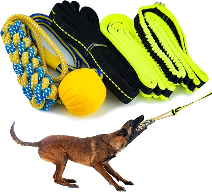 Tree Rope Toy for Dogs - Bungee Tug Toy for Small to Large Breeds - Outside Entertainment and Exercise Hanging Dog Toys Tug of War with Chew Rope and Ball Set (Reflective)