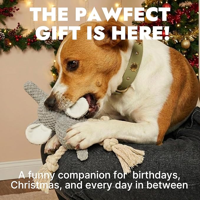 Squeaky Dog Teething Interactive Chew Toy Chewer Stuffed Toys with Squeaker for Small Medium Breed Tough Durable Funny Pet Supplies Ideal Puppy Cats Gifts - Elephant, Medium