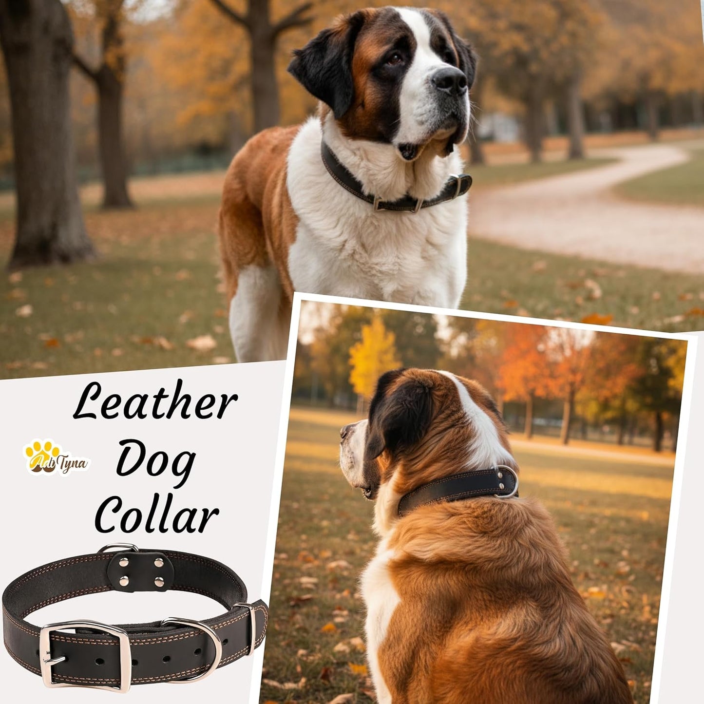 ADITYNA Heavy Duty Leather Dog Collar for Extra-Large Dogs - Soft and Strong Black Leather Collar for XL Breeds (Extra-Large: Fit 22" - 30" Neck, Black)