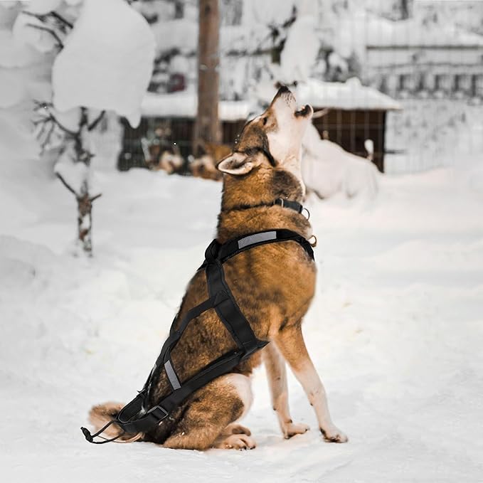 Dog Pulling Harness (L, Black) X Back Mushing Husky Harness for Sled Exercise, Pet Sledding, Bikejoring, Skijoring, Running, Canicross Scootering, for Average Sized Dog About 45-50LBS