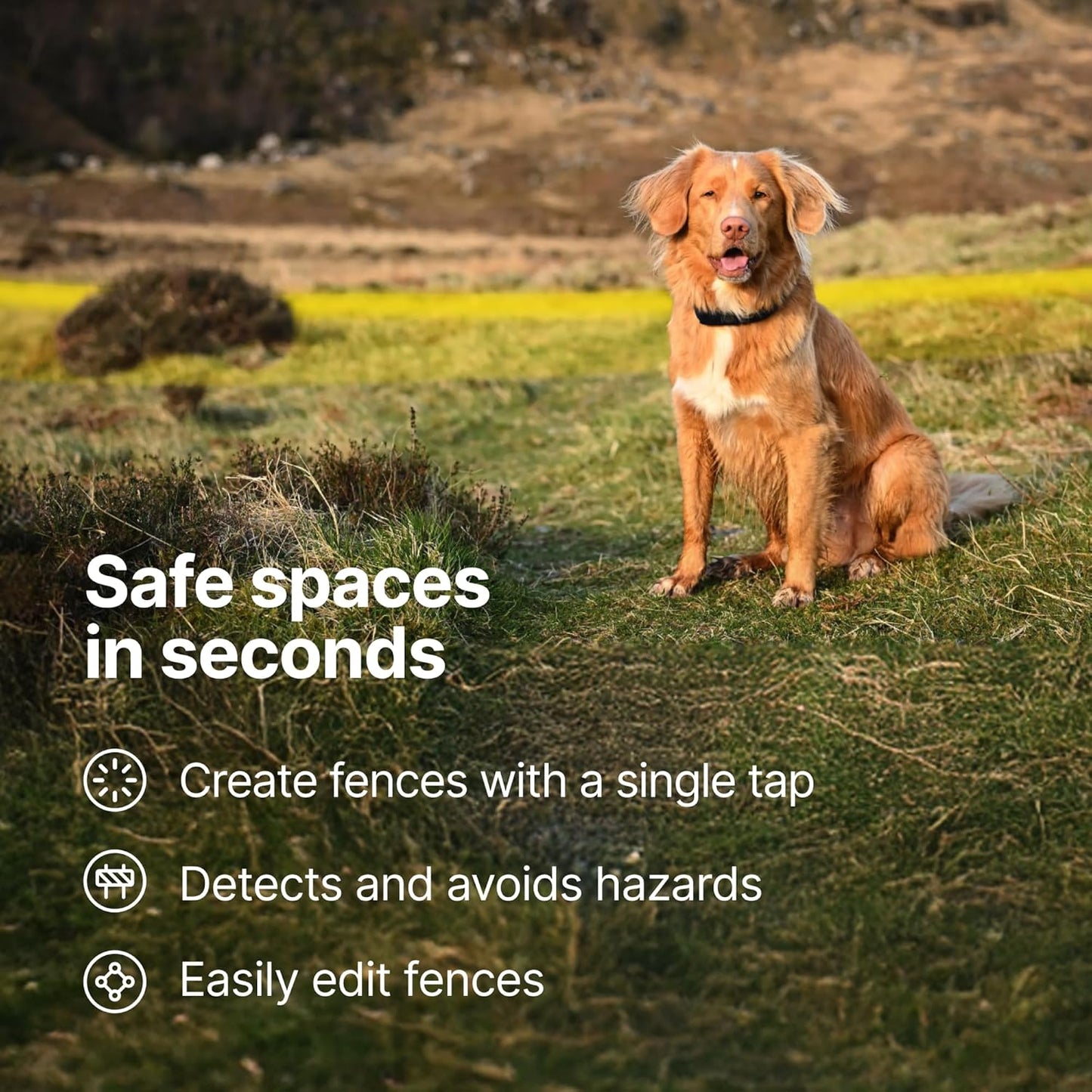 Halo Collar 5, New Wireless Dog Fence & GPS Dog Collar, Subscription Required, Waterproof, Orchid, One Size