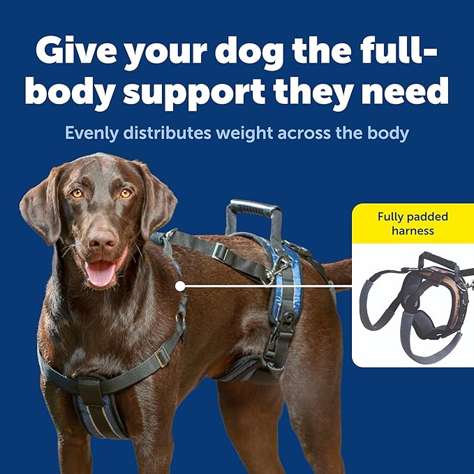 PetSafe CareLift Support Harness - Lifting Aid for Senior or Injured Dogs - Breathable Mesh - Machine Washable - Post-Surgery Dog Support - Large