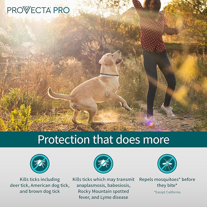 Provecta® PRO Flea & Tick Collar for Dogs