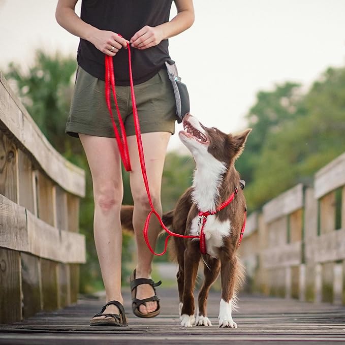 Blue-9 Reflective Dog Leash, Multi-Function 6 Foot Adjustable Lead with Traffic Loop and 3M Reflective Stitching for Obedience, Running, and Agility Training, Made in The USA, Small/Medium, Red