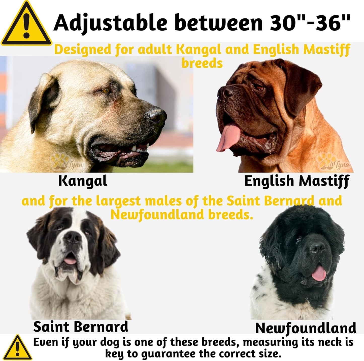 ADITYNA Big Leather Dog Collar - XXL Dog Collar for Giant Breeds Such as Mastiff (Giant: Fit 30" - 36" Neck, Brown)