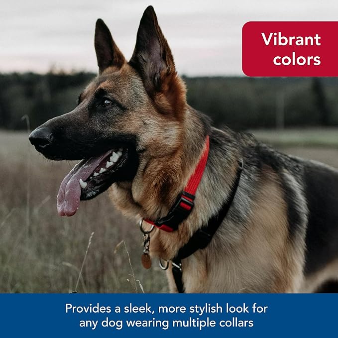 Coastal Pet SecureAway Collar Protector for Flea Collars - Adjustable pet Accessory - Protective Flea Collar for Dogs & Puppy - Red, 1" x 18-26"