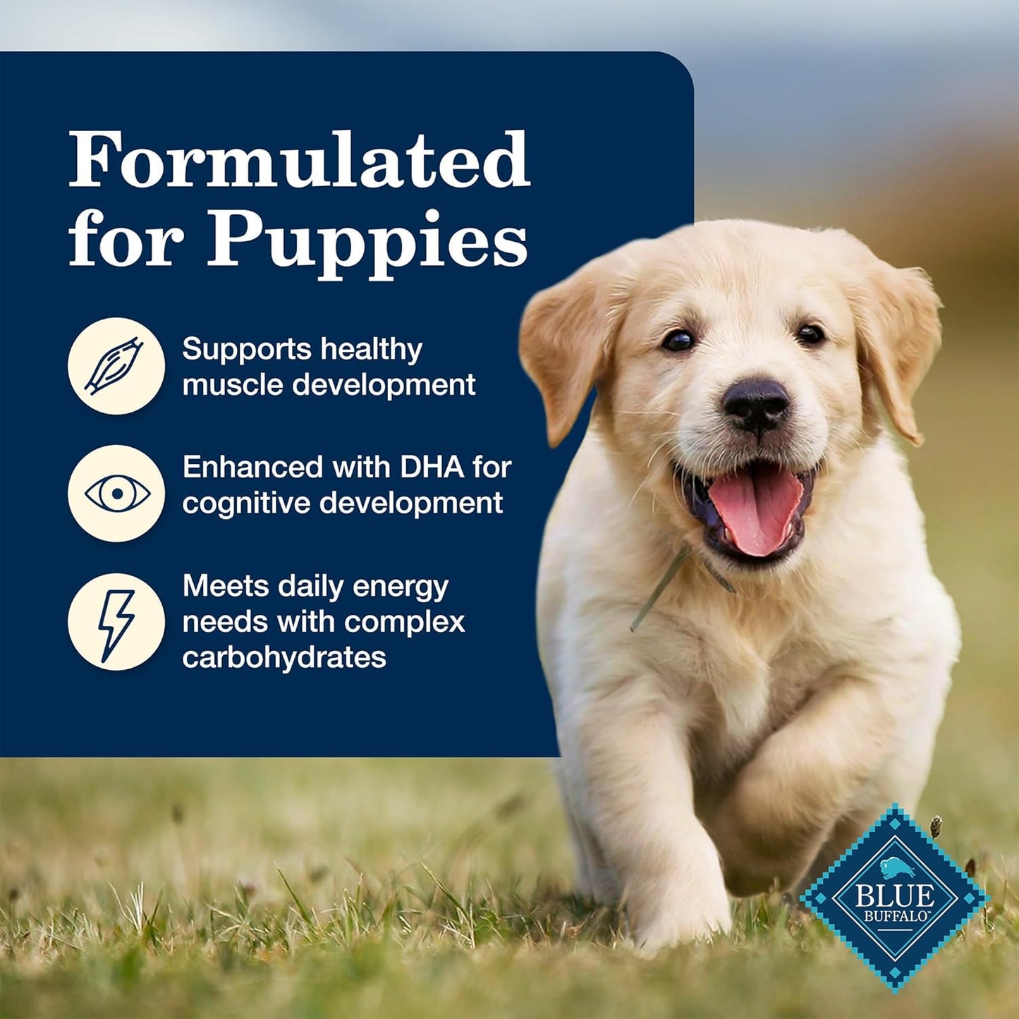 Blue Buffalo Homestyle Recipe Puppy Wet Dog Food, Made with Natural Ingredients, Chicken Dinner with Garden Vegetables & Brown Rice, 12.5-oz Cans (12 Count)