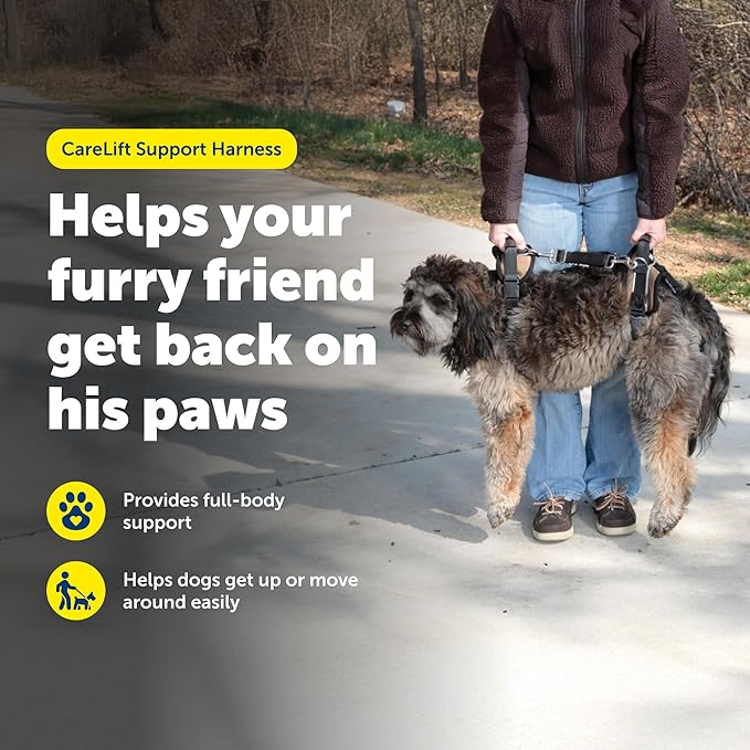 PetSafe CareLift Support Harness - Lifting Aid for Senior or Injured Dogs - Breathable Mesh - Machine Washable - Post-Surgery Dog Support - Medium
