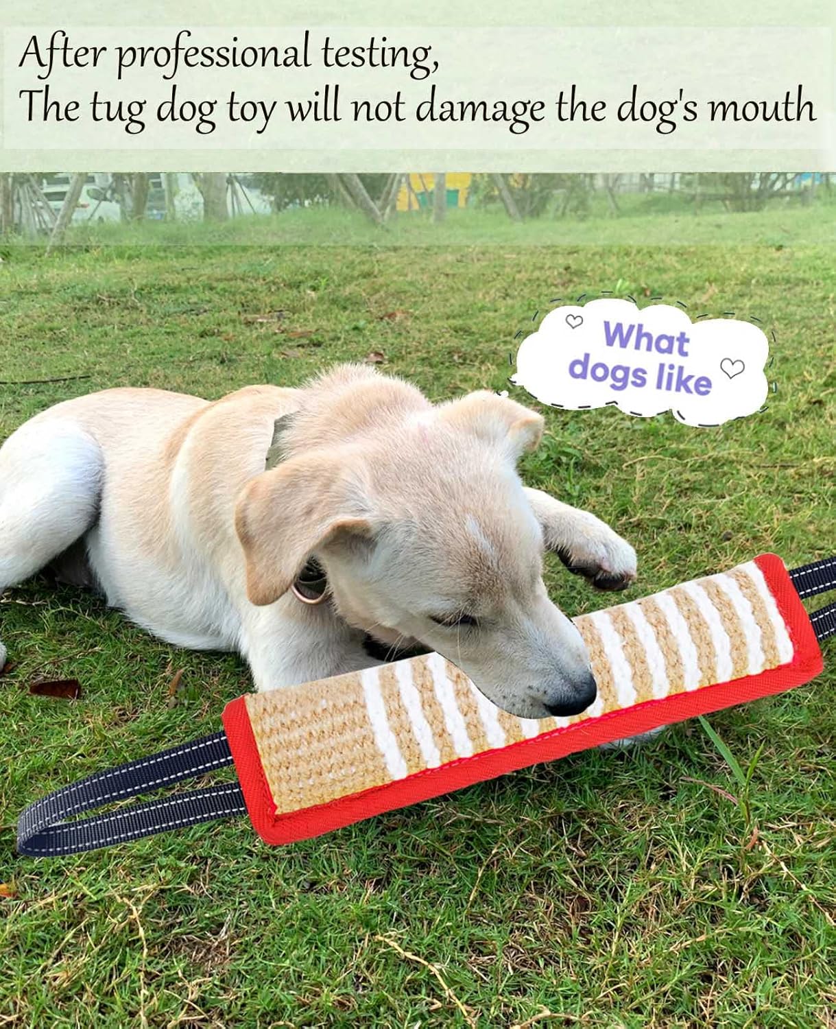 Clysoru Tug Toy for Dogs Jute Bite Resistant Pillow - Lasting Training Equipment Puppy to Large Dogs Interactive Toy with 2 Strong Handles