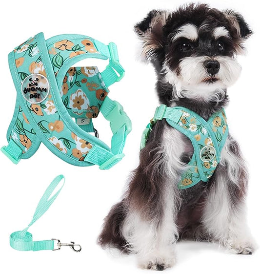 Patas Lague Dog Harness with Leash Set Adjustable Soft Padded Step-in Dog Vest No Choke No Pull Reflective for Small Medium Pets with Poop Bags and Dispenser, Solid and No-chew, Floral Green S