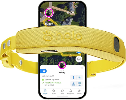Halo Collar 5, New Wireless Dog Fence & GPS Dog Collar, Subscription Required, Waterproof, Sunburst, One Size