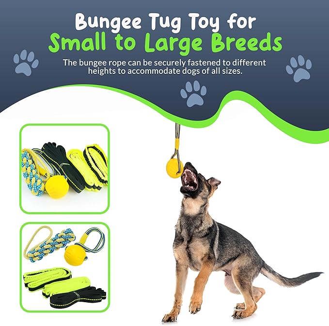 Tree Rope Toy for Dogs - Bungee Tug Toy for Small to Large Breeds - Outside Entertainment and Exercise Hanging Dog Toys Tug of War with Chew Rope and Ball Set (Reflective)