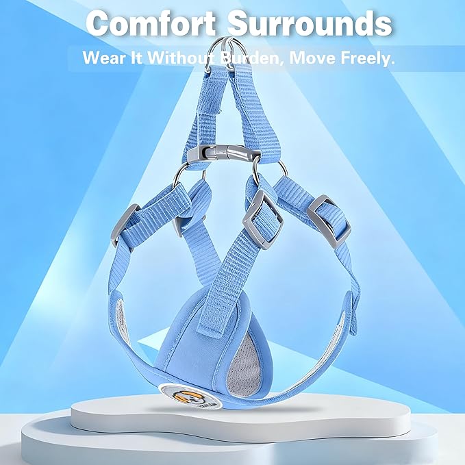 Dog Harness with Leash Set, Puppy Soft Vest No Choke No Pull, Adjustable Neck and Chest, Lightweight Harness and Anti-Twist Pet Leash Combo for Small to Medium Dogs (Blue, S-Small)