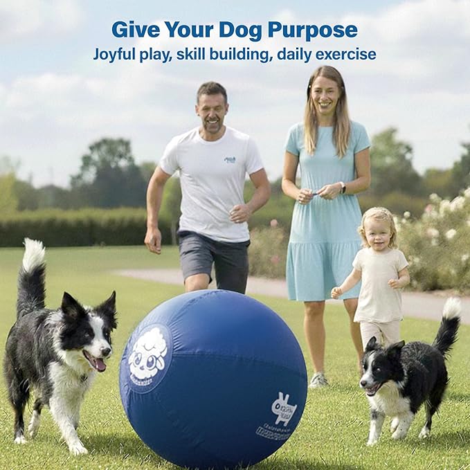 Race&Herd 22" Original XXL Herding Ball for Dogs - Giant Herding Dog Ball Australian Shepherds, Herding Toys, Dog Training Toy for Large Breeds, Dog Toy for Outdoor Play (Small/Medium Dogs, Yellow)