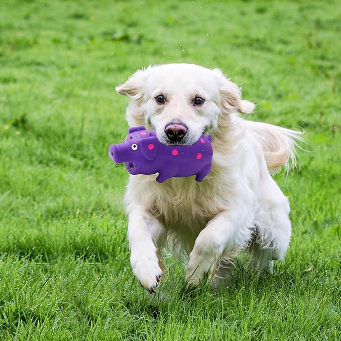 Pig Squeaky Dog Toy, Interactive Grunting Pig Toys That Oink 3 Pack, Rubber Dog Chew Toys Durable Color Spotted Pigs for Medium Large Dogs