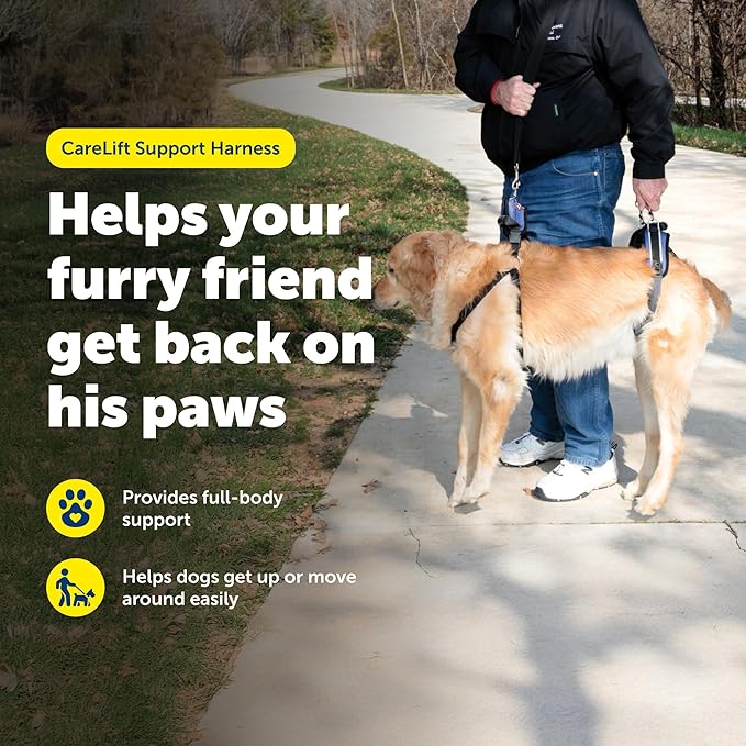 PetSafe CareLift Support Harness - Lifting Aid for Senior or Injured Dogs - Breathable Mesh - Machine Washable - Post-Surgery Dog Support - Large