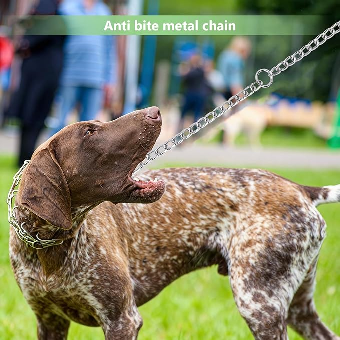 Pet Chain Stainless Steel Double-Head Dog Leash Twin Lead Traction Belt for Small Middle Large Dogs Safety Training (L)