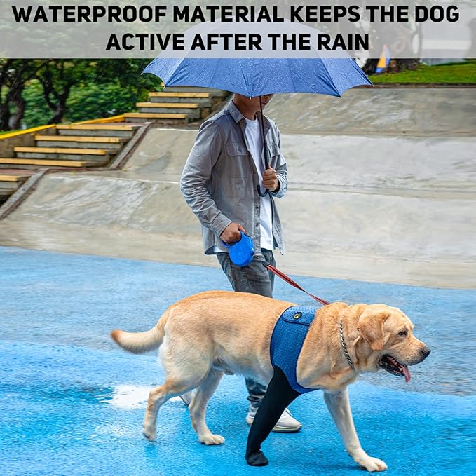 COODEO Dog Socks to Prevent Licking Paws, Healing Boots & Paw Protectors with Non-Slip Bottoms for Wound Protection, Waterproof Sleeve Shoes for Licking（Blue，2XL_Right