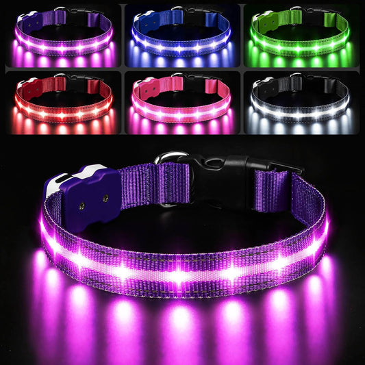 PcEoTllar Light Up Dog Collars, Led Dog Collar, Rechargeable, Night Walking, Waterproof, Glow in The Dark Dog Collars Light for Large Small Medium Dogs, Purple m