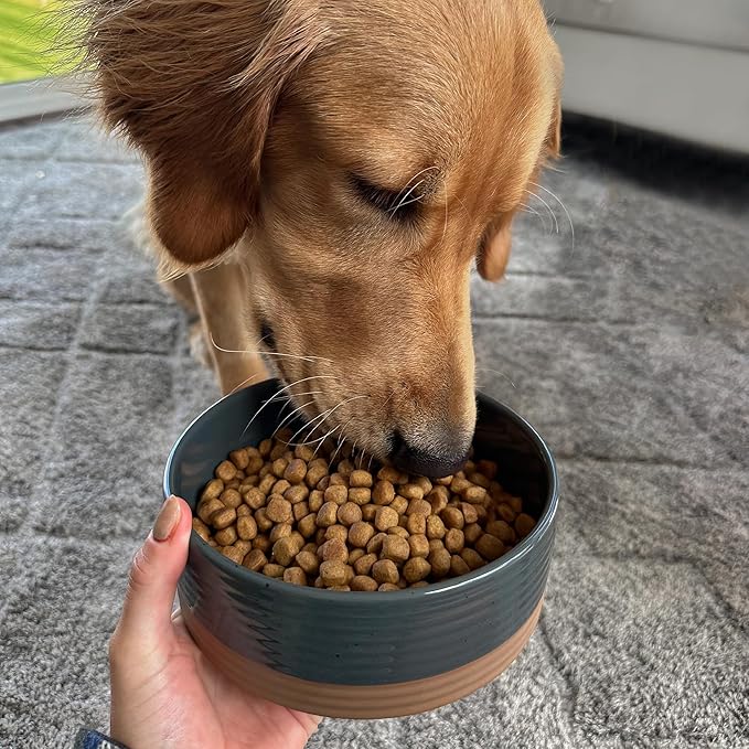 Mora Ceramic Pet Bowl Size Medium - Food/Water Dish for Large Puppies, Cats, Retrievers, Medium Sized Dogs, ect. 28oz or 4 Cups - Basic Bowls for Your Dog or Cat, Mix and Match for a Set - Charcoal