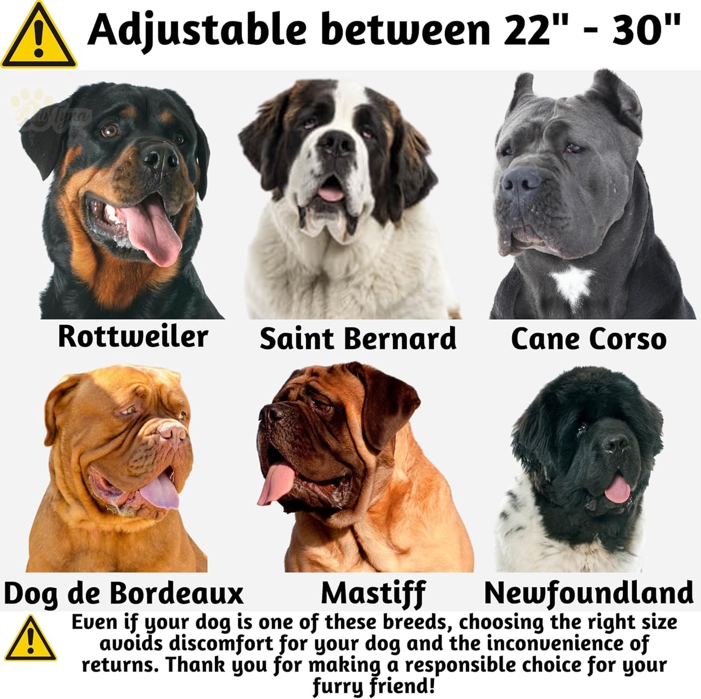 ADITYNA Heavy Duty Leather Dog Collar for Extra-Large Dogs - Soft and Strong Black Leather Collar for XL Breeds (Extra-Large: Fit 22" - 30" Neck, Black)