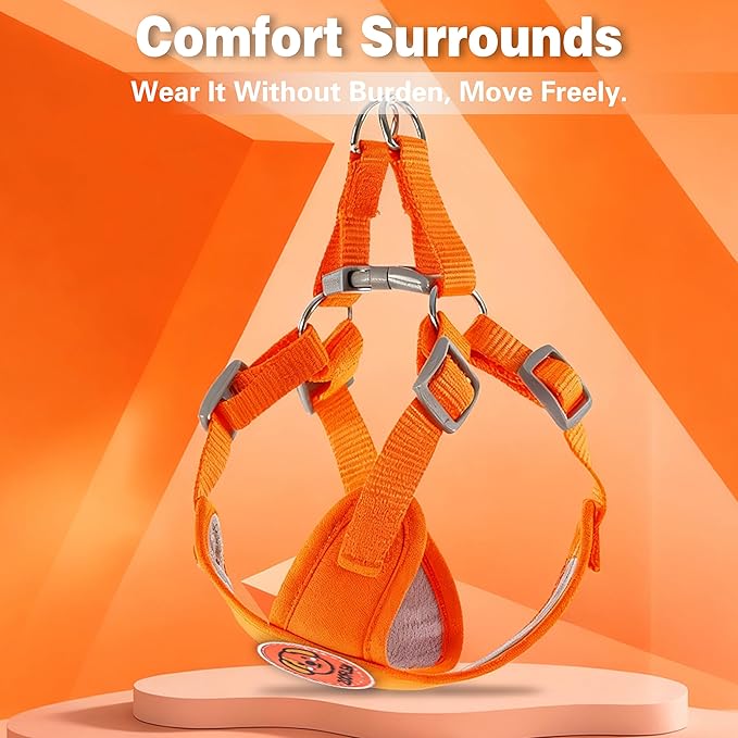 Dog Harness with Leash Set, Puppy Soft Vest No Choke No Pull, Adjustable Neck and Chest, Lightweight Harness and Anti-Twist Pet Leash Combo for Small to Medium Dogs (Orange, M-Medium)