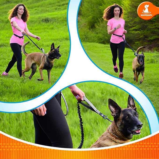SparklyPets - Hands Free Dog Leash with Reflective Stitches - Waist Leash for Dog Walking, Hiking, Training, Jogging, Canicross, Running - for Medium & Large Breeds