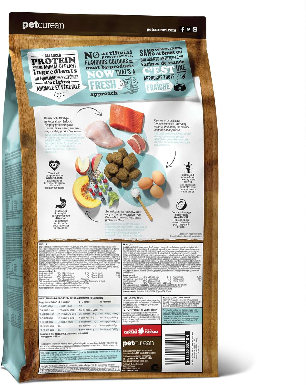 Now Fresh Grain-Free Large Breed Dry Puppy Food with Turkey, Salmon & Duck, Healthy Kibble for Growing Dogs with Real Meat & Fish, Chicken-Free, Pumpkin & Probiotics for Good Digestion, 25 lb Bag