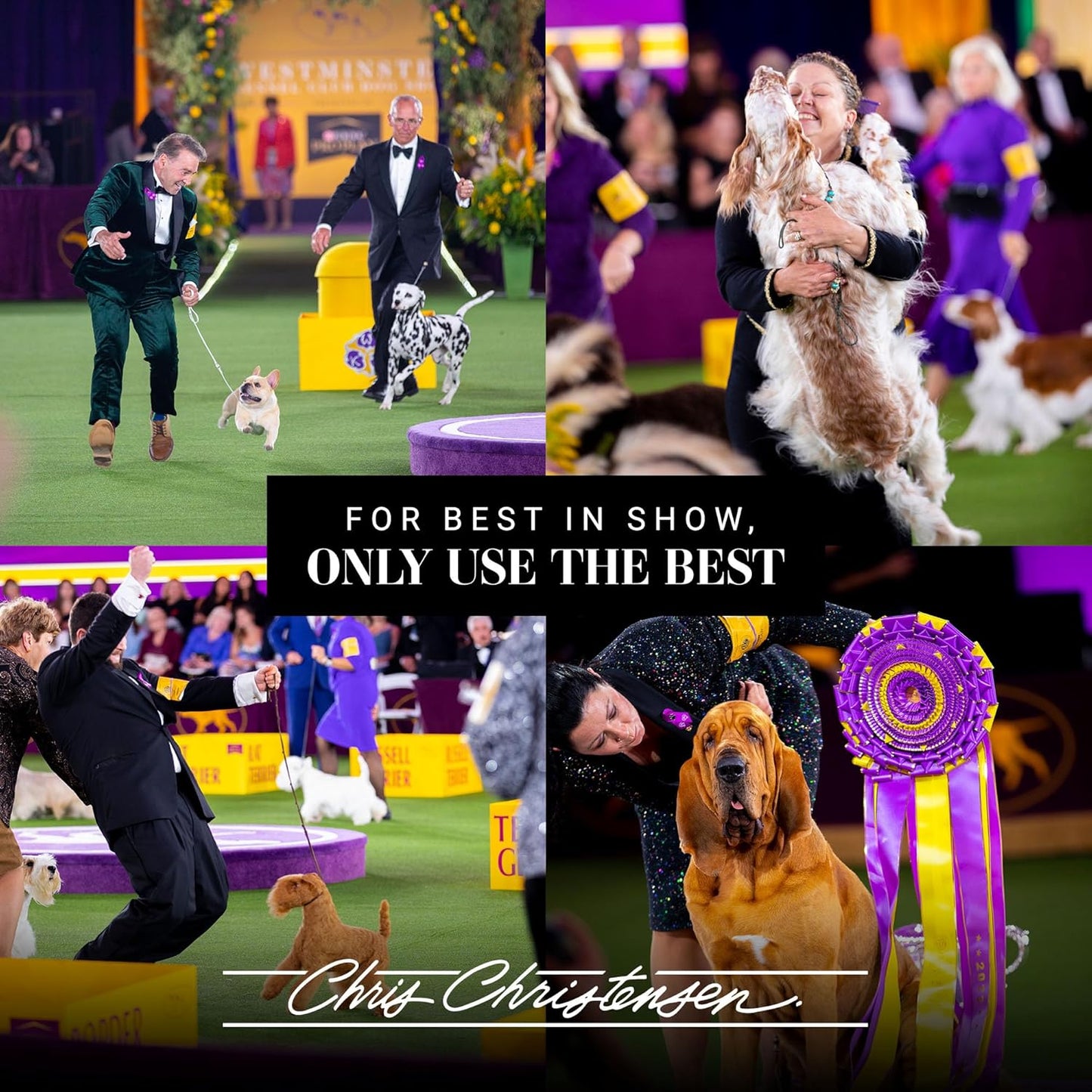 Chris Christensen Smart Scents Tropical Breeze Dog Cologne, Groom Like a Professional, Long Lasting, Designer Fragrances, 16 oz