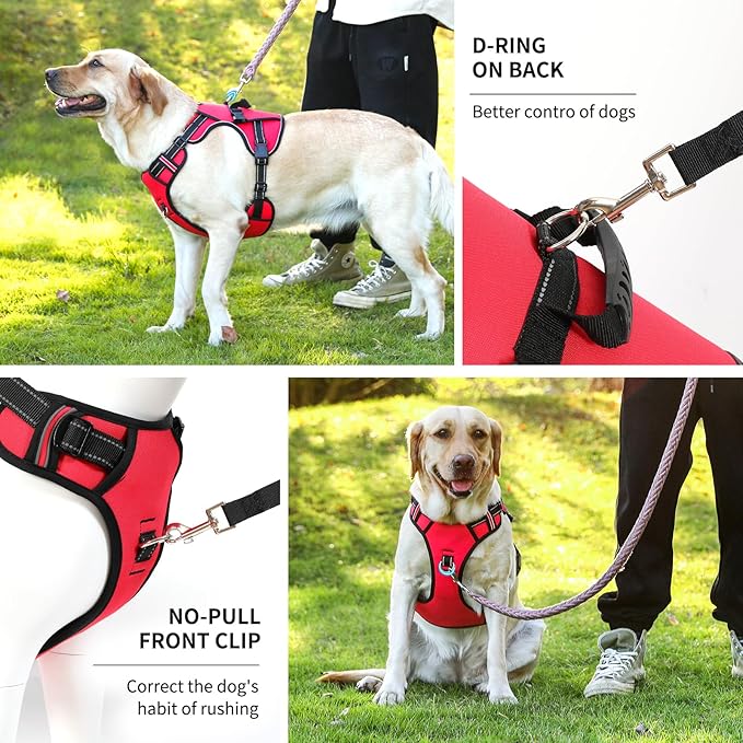NOYAL Dog Lift Harness for Senior & Injured Pets – Full-Body Support Sling with Breathable Mesh, Front/Rear Leg Assist for Arthritis, Hip Dysplasia & Post-Surgery Recovery (Medium-Large Breeds)