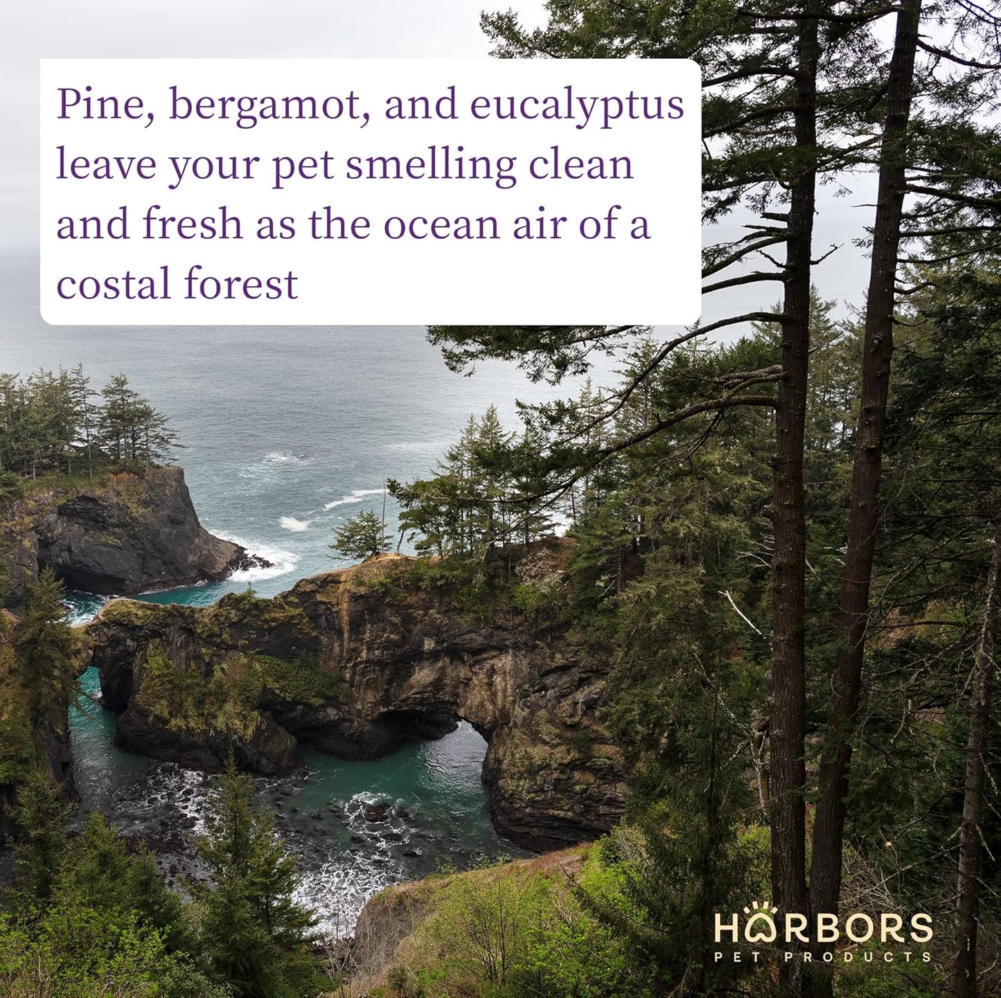 Harbor's Pet Cologne (Evergreen Ocean Breeze)