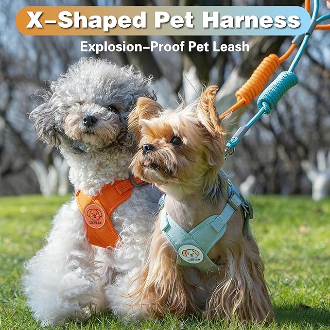 Dog Harness with Leash Set, Puppy Soft Vest No Choke No Pull, Adjustable Neck and Chest, Lightweight Harness and Anti-Twist Pet Leash Combo for Small to Medium Dogs (Green, S-Small)