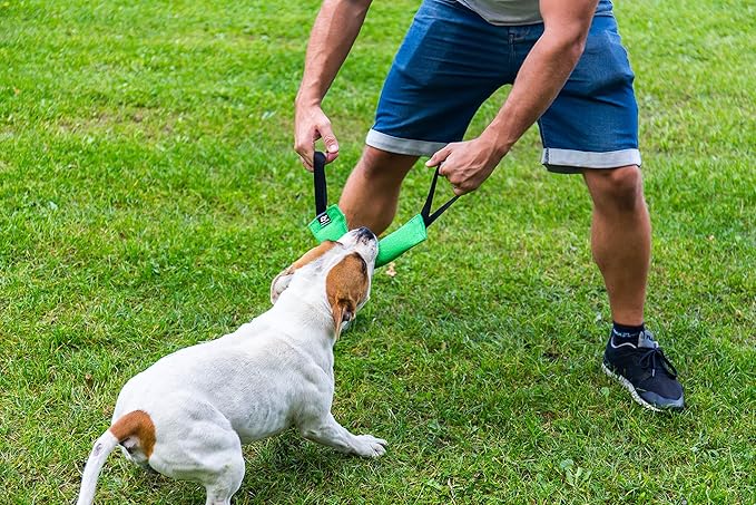 Bull Fit K9 Dog Bite Tug Toy with 2 Strong Handles - Made of Durable & Tear-Resistant French Linen - Perfect for Tug of War, Fetch & Puppy Training - Ideal for Medium to Large Breeds