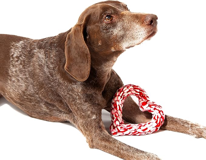 Midlee Valentine's Heart Rope Dog Toy (6" x 6")- Pink, Red, White Cotton Chew Gift