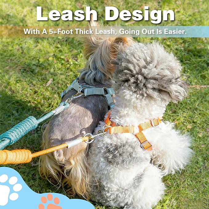 Dog Harness with Leash Set, Puppy Soft Vest No Choke No Pull, Adjustable Neck and Chest, Lightweight Harness and Anti-Twist Pet Leash Combo for Small to Medium Dogs (Orange, M-Medium)